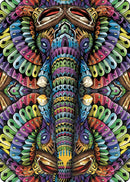 Quintorius Kand Art Card (51/81) (Gold-Stamped Planeswalker Symbol) [The Lost Caverns of Ixalan Art Series]